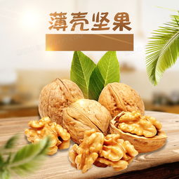 淘宝家居薄壳坚果食品psd主图背景素材背景图片素材免费下载 熊猫办公