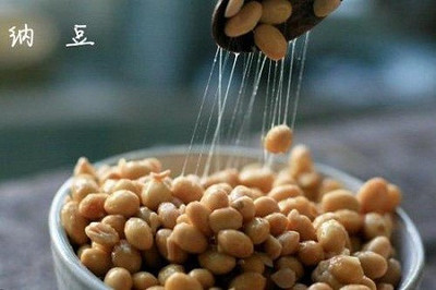 日本纳豆菌什么牌子好