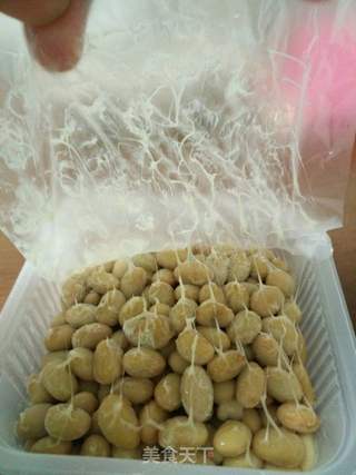 纳豆机做纳豆的做法 纳豆机做纳豆怎么做 勤奋的轻舞飞扬的菜谱