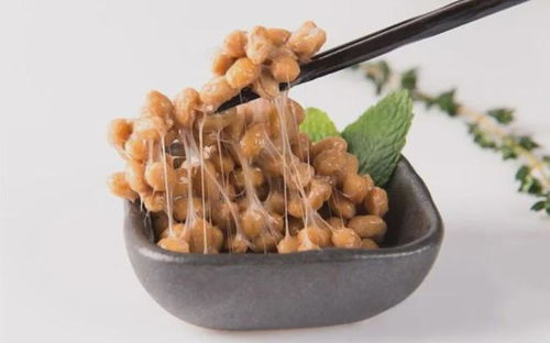 发酵食品与营养健康专家研讨会在京举办,纳豆为何成 主角