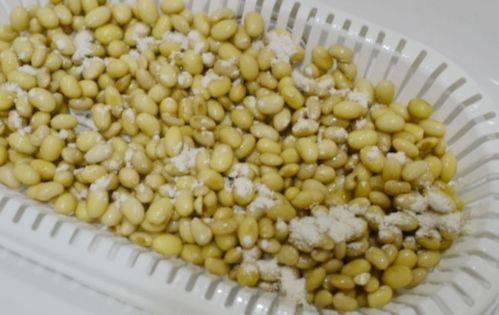 如何用小熊酸奶机做纳豆