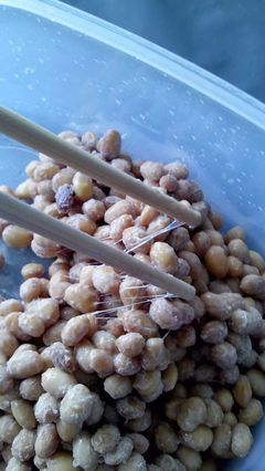 纳豆 独特风味与营养的日本传统发酵豆制品