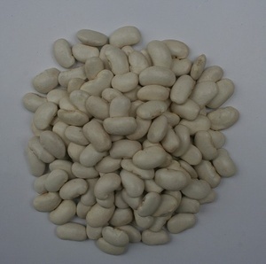 纳豆精 功效、市场价格、批发采购与优质供应商全解析